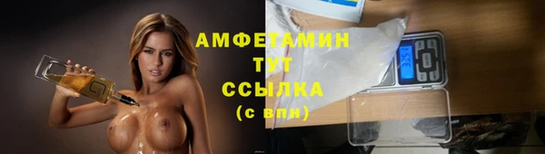 ПСИЛОЦИБИНОВЫЕ ГРИБЫ Верхний Тагил