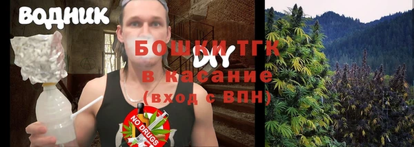 ПСИЛОЦИБИНОВЫЕ ГРИБЫ Верхний Тагил